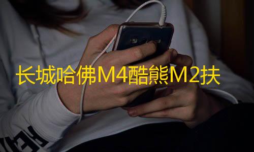 三角洲行动辅助器下载长城哈佛M4酷熊M2扶手箱专用哈弗汽车中央手扶箱内饰改装配件